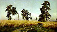 by Ivan Shishkin. The Corn